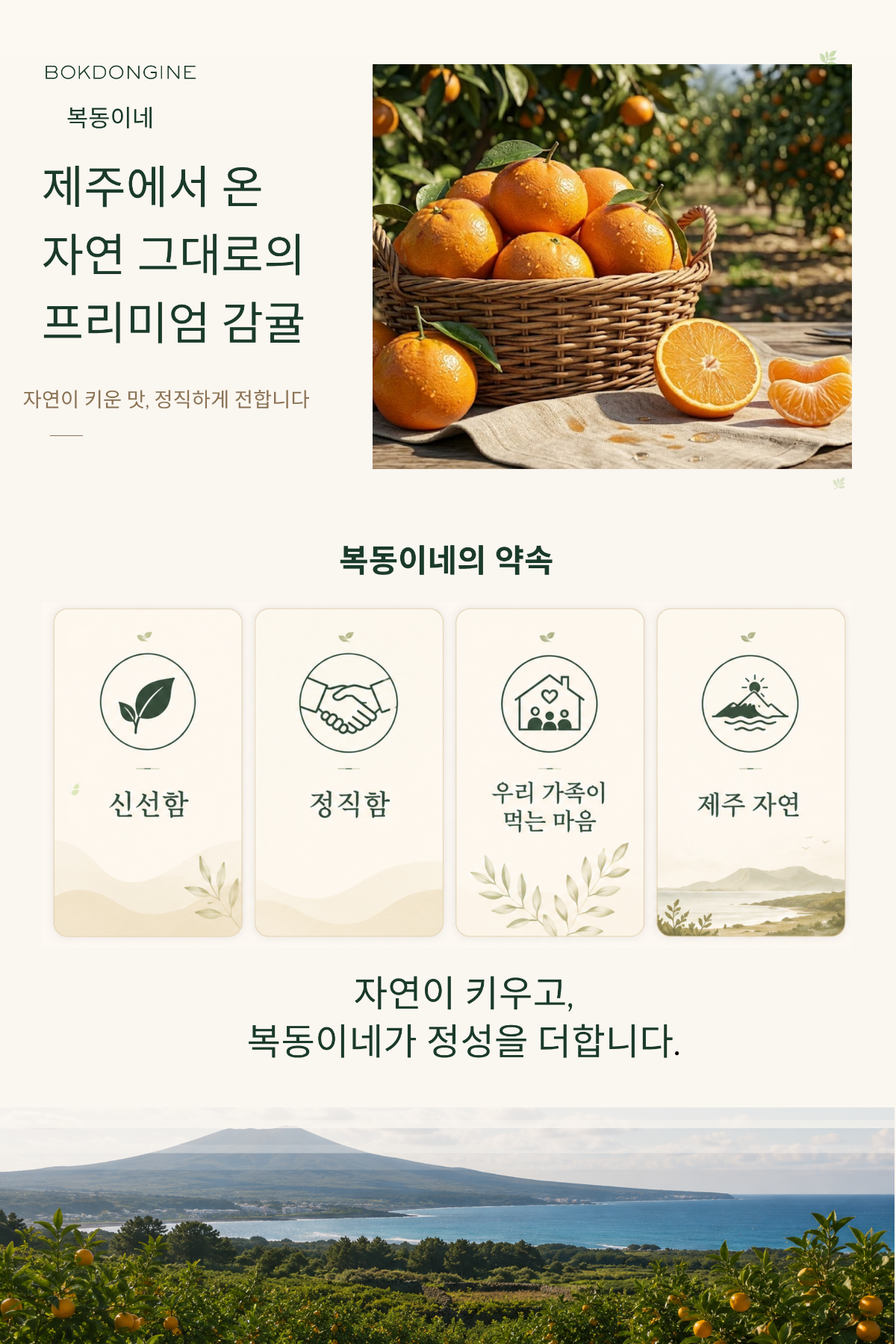 완료1