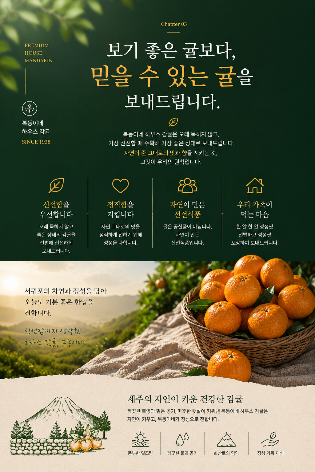 완결 5