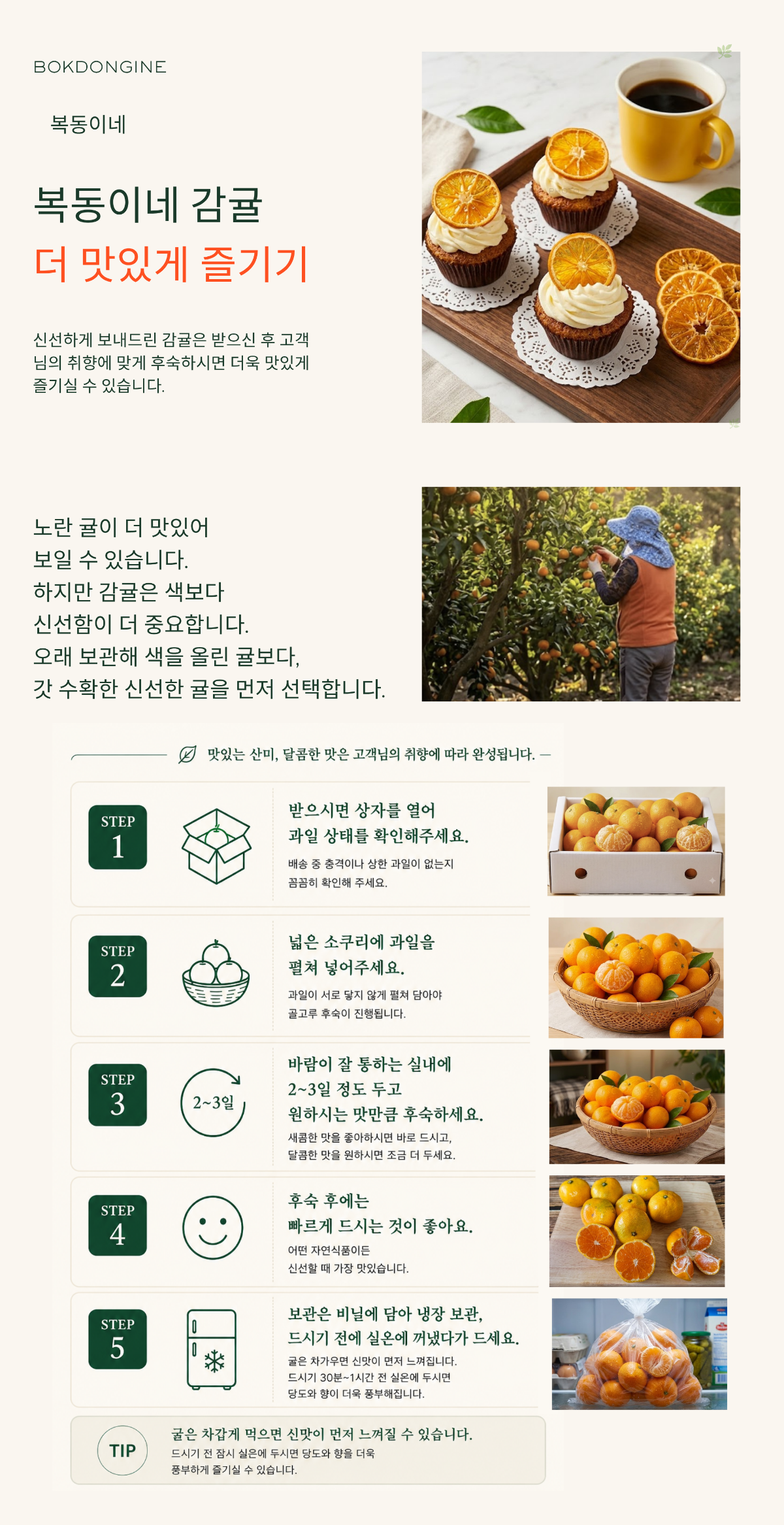 완료4